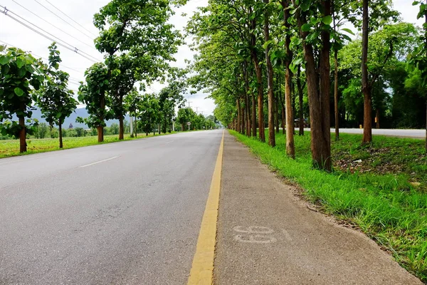 Mountain Road Trees Scenic Route Has Green Trees Sky Travel — Stock Photo, Image