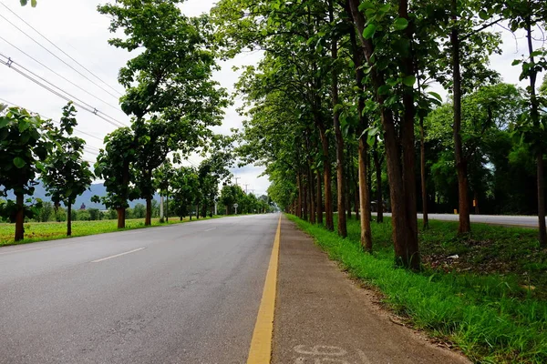 山路与树 风景秀丽的路线有绿树和天空 前往泰国旅游 — 图库照片