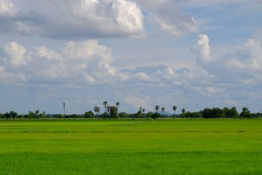 Tayland 'daki güzel tropikal manzara