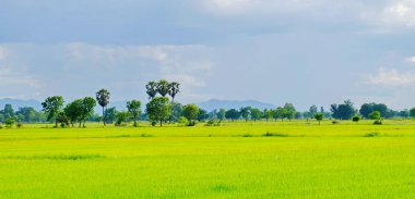 Dağlar, gökyüzü, yeşil alanları ve akış görünümü parlak güneşli günlerde. Mavi gökyüzü ve parlak gün içinde güzel bulutlar.