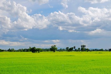 Dağlar, gökyüzü, yeşil alanları ve akış görünümü parlak güneşli günlerde. Mavi gökyüzü ve parlak gün içinde güzel bulutlar.