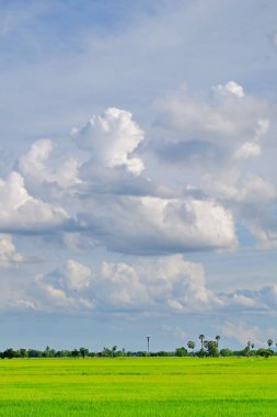 Mavi gökyüzü ve parlak gün içinde güzel bulutlar