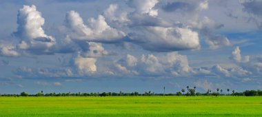 Yeşil alanlar ve akarsu üzerinde parlak güneşli gün. Mavi gökyüzü ve parlak gün içinde güzel bulutlar... pirinç alan. Şeker palm yeşil tarlasında, birçok bulutların üstünde mavi gökyüzü. Görünümü, dağlar, gökyüzü,