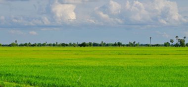 Dağlar, gökyüzü, yeşil alanları ve akış görünümü parlak güneşli günlerde. Mavi gökyüzü ve parlak gün içinde güzel bulutlar.