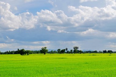 Dağlar, gökyüzü, yeşil alanları ve akış görünümü parlak güneşli günlerde. Mavi gökyüzü ve parlak gün içinde güzel bulutlar.