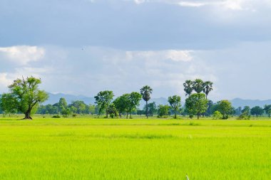 Tayland 'daki güzel tropikal manzara