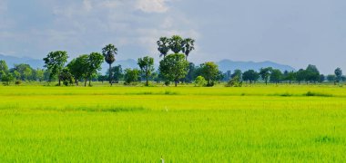 Dağlar, gökyüzü, yeşil alanları ve akış görünümü parlak güneşli günlerde. Mavi gökyüzü ve parlak gün içinde güzel bulutlar.