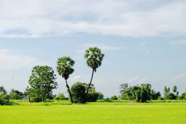 Dağlar, gökyüzü, yeşil alanları ve akış görünümü parlak güneşli günlerde. Mavi gökyüzü ve parlak gün içinde güzel bulutlar.