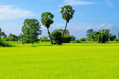 Dağlar, gökyüzü, yeşil alanları ve akış görünümü parlak güneşli günlerde. Mavi gökyüzü ve parlak gün içinde güzel bulutlar.