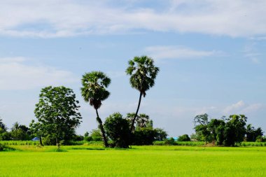 Dağlar, gökyüzü, yeşil alanları ve akış görünümü parlak güneşli günlerde. Mavi gökyüzü ve parlak gün içinde güzel bulutlar.