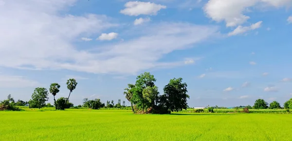 Vista Montañas Cielo Campos Verdes Arroyos Días Soleados Brillantes Cielo — Foto de Stock