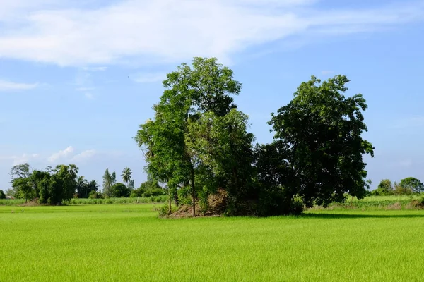 Vista Montañas Cielo Campos Verdes Arroyos Días Soleados Brillantes Cielo — Foto de Stock