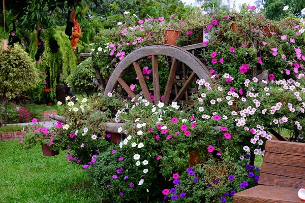 Belles Fleurs Dans Jardin Papillon Abeille Avec Belles Fleurs Clôture — Photo