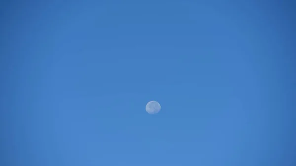 Full Moon Silhouette Clear Blue Sky Daytime — Stock Photo, Image