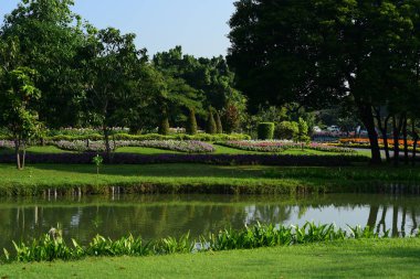 parkta ağaçların görünümü