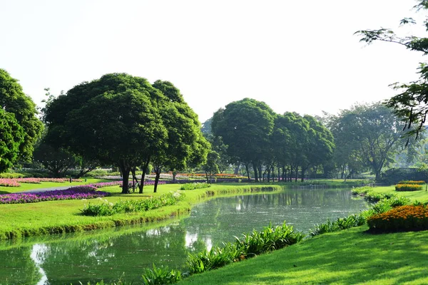 Vue Sur Les Arbres Dans Parc — Photo