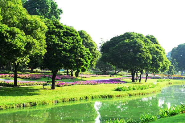 View Trees Park — Stock Photo, Image