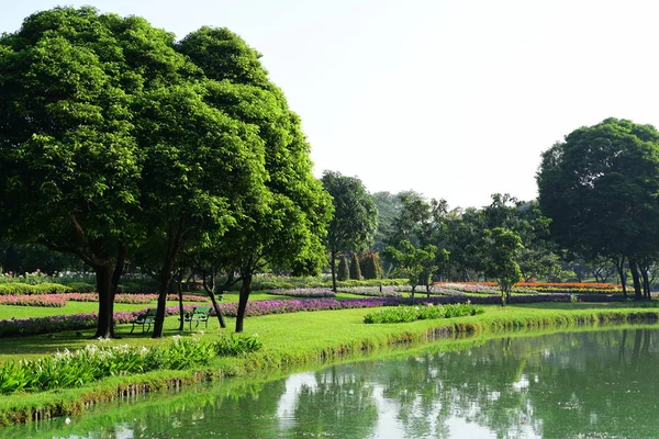 Vista Los Árboles Parque — Foto de Stock