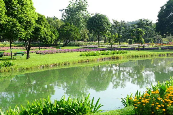 Vue Sur Les Arbres Dans Parc — Photo