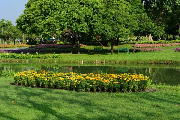 Vista Los Árboles Parque — Foto de Stock