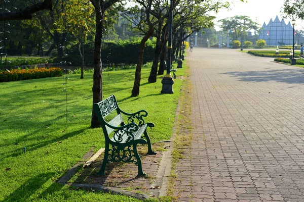 Blick Auf Bäume Park — Stockfoto