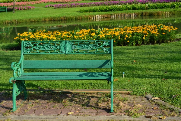 Blick Auf Bäume Park — Stockfoto