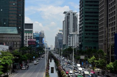 güzel pembe lotus çiçekleri gölet yeşil yaprakları ile