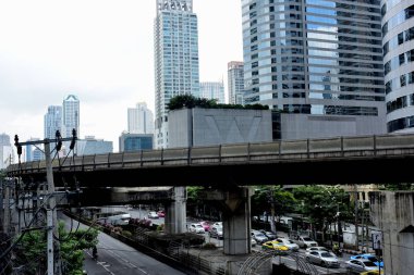 güzel pembe lotus çiçekleri gölet yeşil yaprakları ile