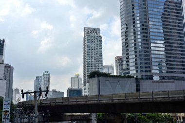 güzel pembe lotus çiçekleri gölet yeşil yaprakları ile