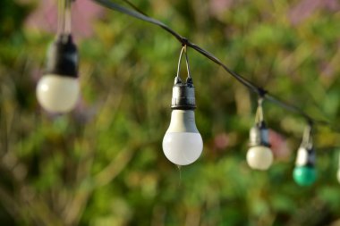 Bahçede asılı renkli lambalar