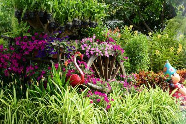 İlkbaharda güzel renkli çiçekler 