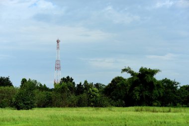 Yayın kulesi ağaçların arkasında