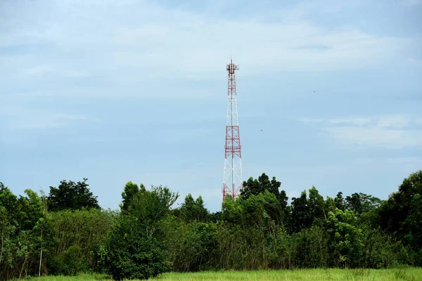 木の後ろの放送塔 — ストック写真