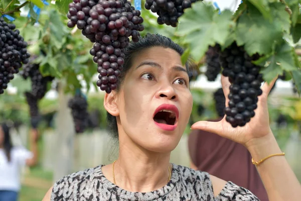 Jovem Posando Com Cachos Uva Vinha — Fotografia de Stock