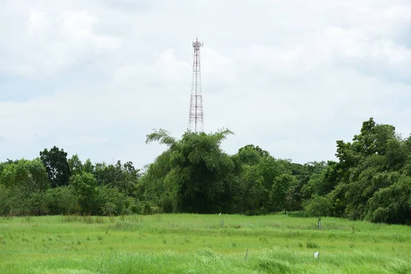 Telecommunication Tower Green Forest Meadow — Zdjęcie stockowe