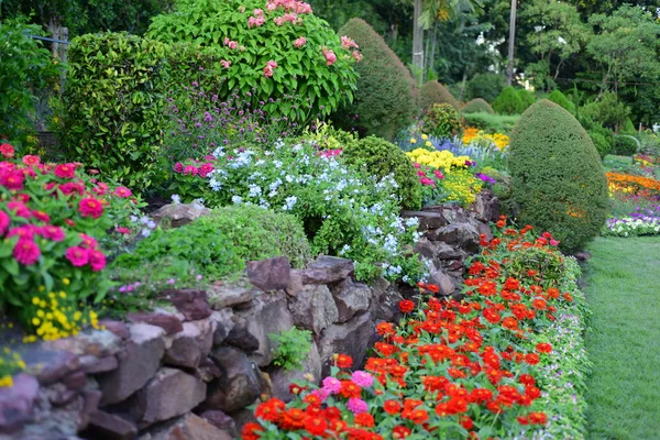 庭に咲く色とりどりの花の眺め — ストック写真