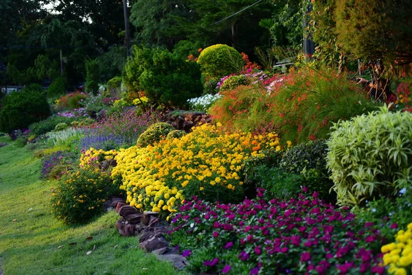 庭に咲く色とりどりの花の眺め — ストック写真