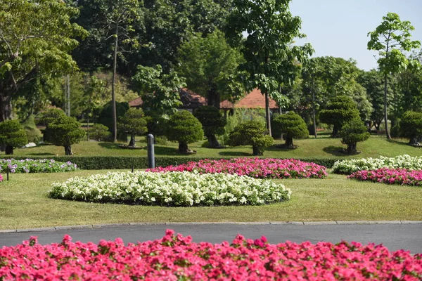 Gündüz vakti parkta büyüyen renkli çiçeklerin manzarası