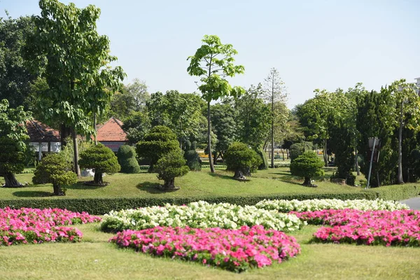 Gündüz vakti parkta büyüyen renkli çiçeklerin manzarası
