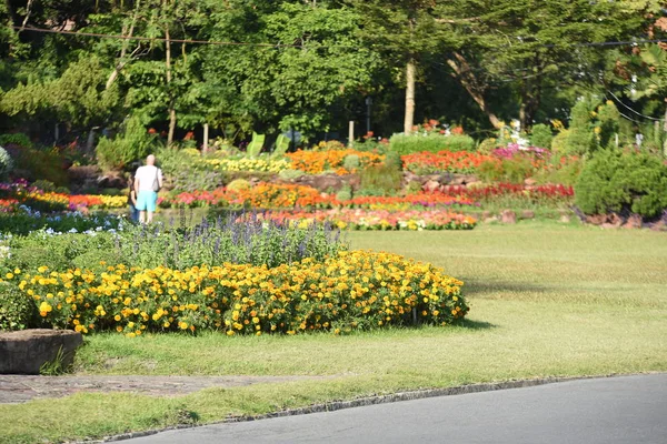 Mooi Park Met Kleurrijke Bloemen — Stockfoto
