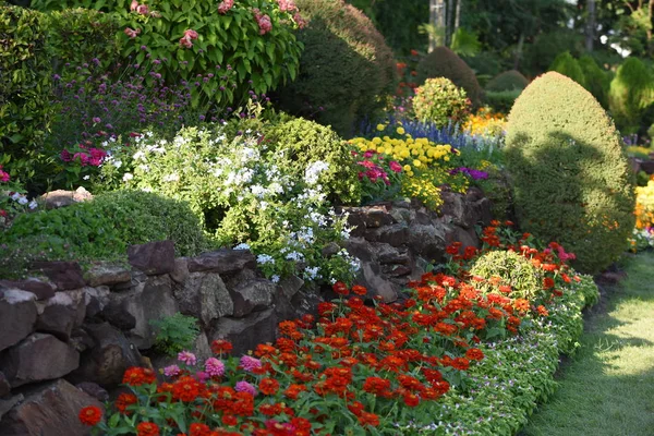 View Colorful Flowers Growing Park Daytime — Stock Photo, Image