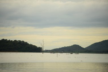 Nehirde balık tutmak için yüzen tekne manzarası