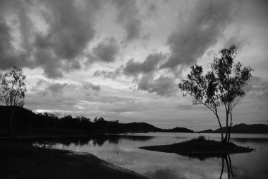 Bulutlu arka planda yalnız ağaç ve gölün tek renkli görüntüsü 
