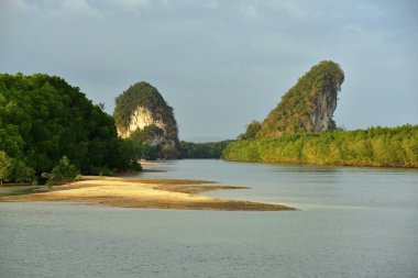 Güneşli günde güzel manzara