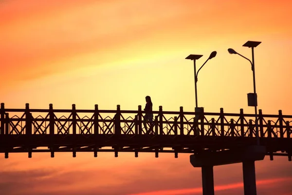 Sonnenuntergang Und Brückensilhouette Über Der Natur — Stockfoto