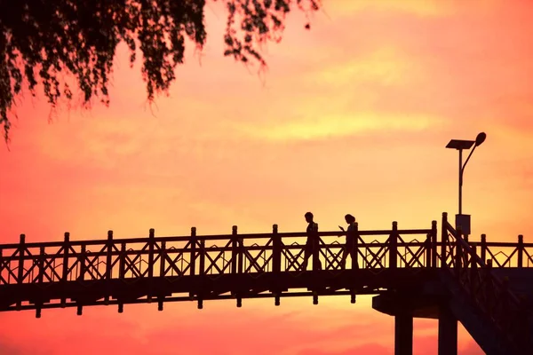 Sunset Bridge Silhouette Nature — Stock Photo, Image