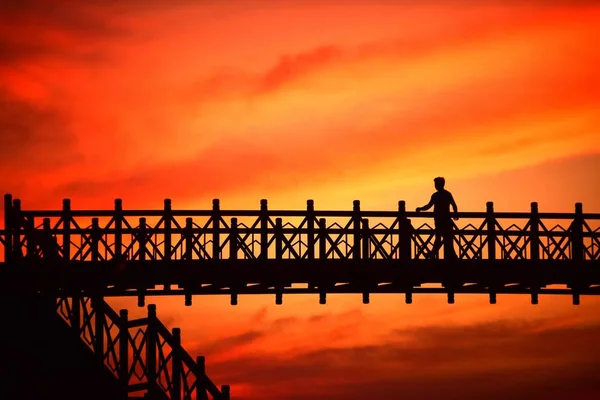 Sunset Bridge Silhouette Nature — Stock Photo, Image