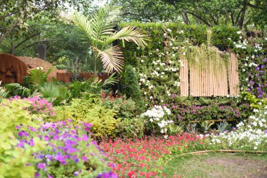 Renkli çiçekler ve doğada yeşil yaprakları. Renkli çiçekler doğada. Resmi Bahçe Bahçe Blooming çiçeklenir. Park. Güzel bahçe