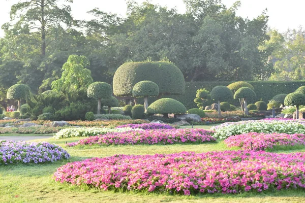 色とりどりの花や自然の中の緑の葉 自然の中の色とりどりの花 フォーマル ガーデンのガーデン開花の花 美しい庭園 — ストック写真