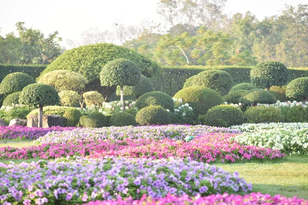 화려한 자연에서 잎입니다 속에서 다채로운 꽃입니다 공식적인 정원에서 Blooming에 공원입니다 — 스톡 사진